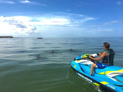 Dolphin Jet Ski Tour Estero Bay 2 Hours