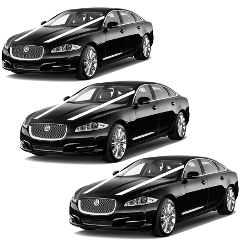 Trio Jaguar XJ's