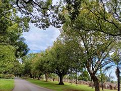 Cemetree Tour: The roots to Toowoomba's history