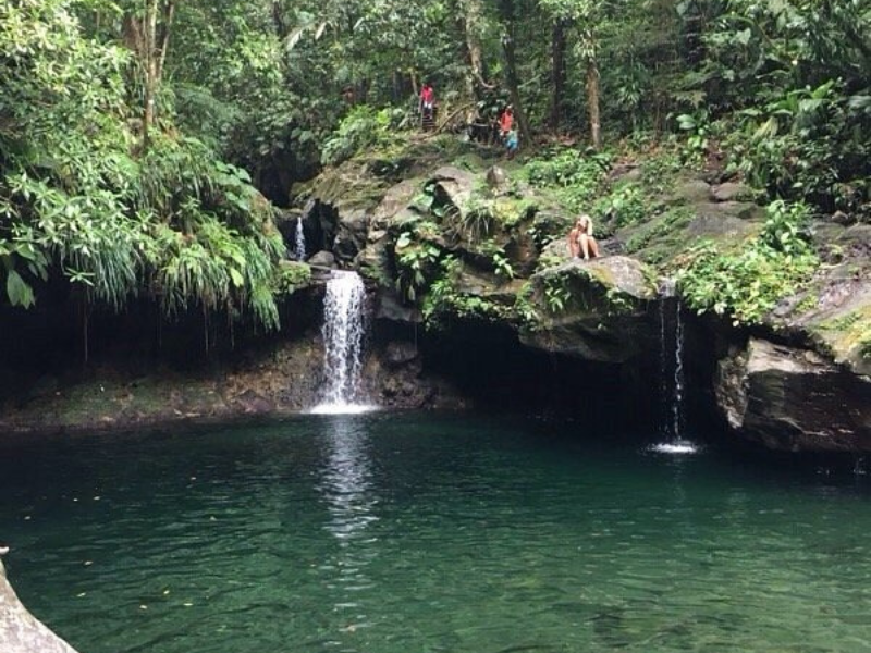 Randonnée au choix dans toute la Guadeloupe avec un guide expert