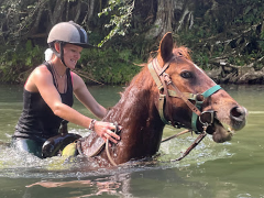 Balade à cheval de 3 heures avec passage dans la rivière