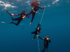 Initiation à la plongée en apnée à Port-Louis