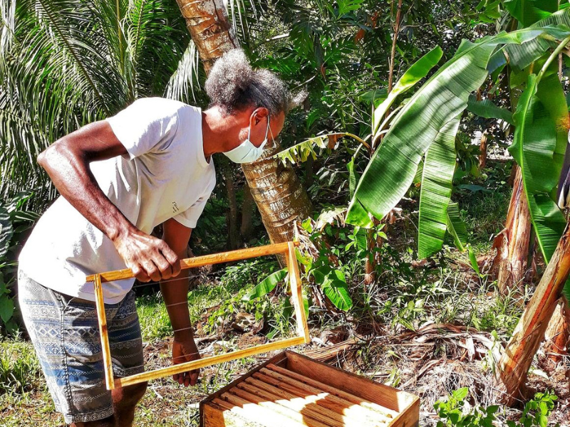 Visite guidée privée dans un domaine d'agroforesterie (Miel, Vanille, huile de coco)