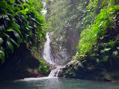 Randonnée jusqu’à la cascade de Bois Malaisé à Bouillante