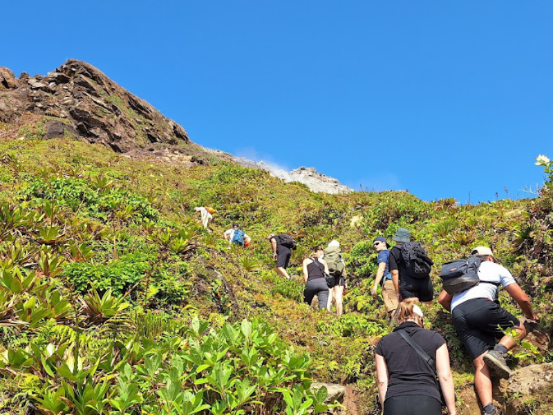 Découverte du sommet de la Soufrière avec un guide expert