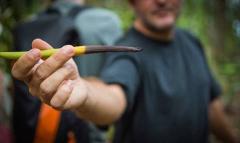 Immersion dans la plantation de vanille de Cédric Coutelier