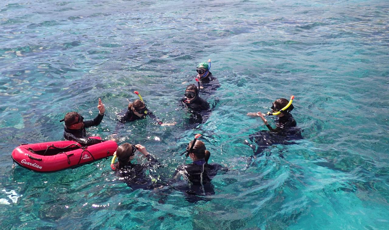 Pointe-Noire : Randonnée palmée au cœur de la Réserve Cousteau