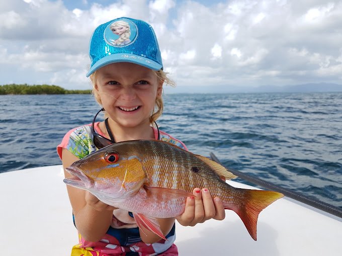 Sortie de pêche sportive privée dans la mangrove du Grand Cul-de-sac marin