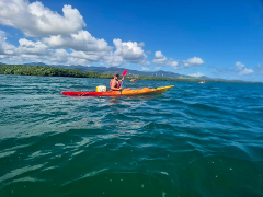 Sainte-Rose : Demi-journée guidée en kayak dans le Grand Cul-de-sac marin