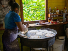 Atelier fabrication de Cassave & visite de jardin