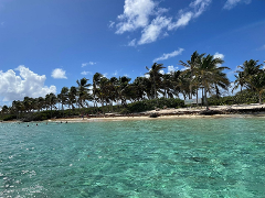 Excursion demi-journée à Petite-Terre – Départ Saint-François