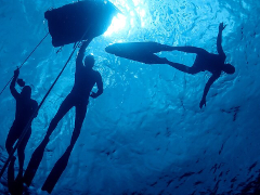 Snorkeling dans la réserve du Grand Cul-de-Sac Marin
