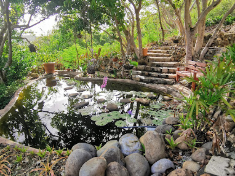 Billets pour le Jardin Botanique du Désert – La Désirade