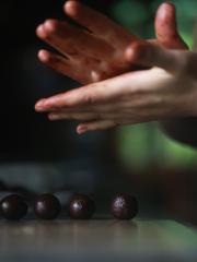 Bocas Trails Montezuma Chocolate Tour - Half Day