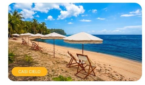 Full Day Bocas Explorer VIP