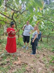 Bocas Trails Oreba Experience
