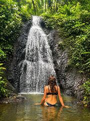 Bocas Trails Red Frog Tour