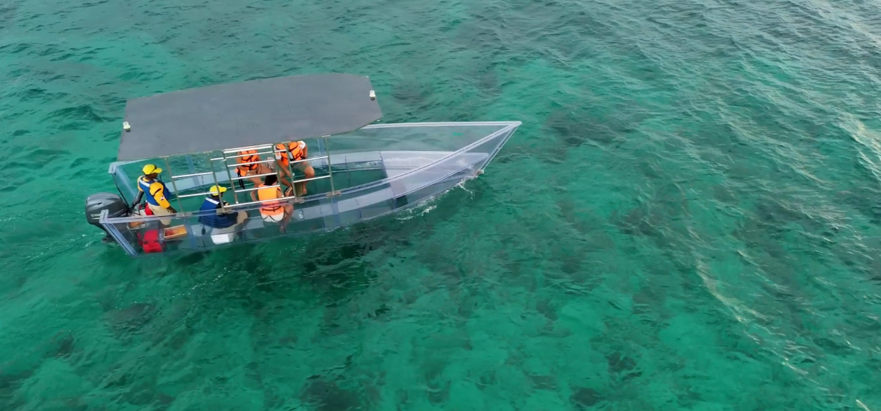 Tour Costero - Bote Transparente