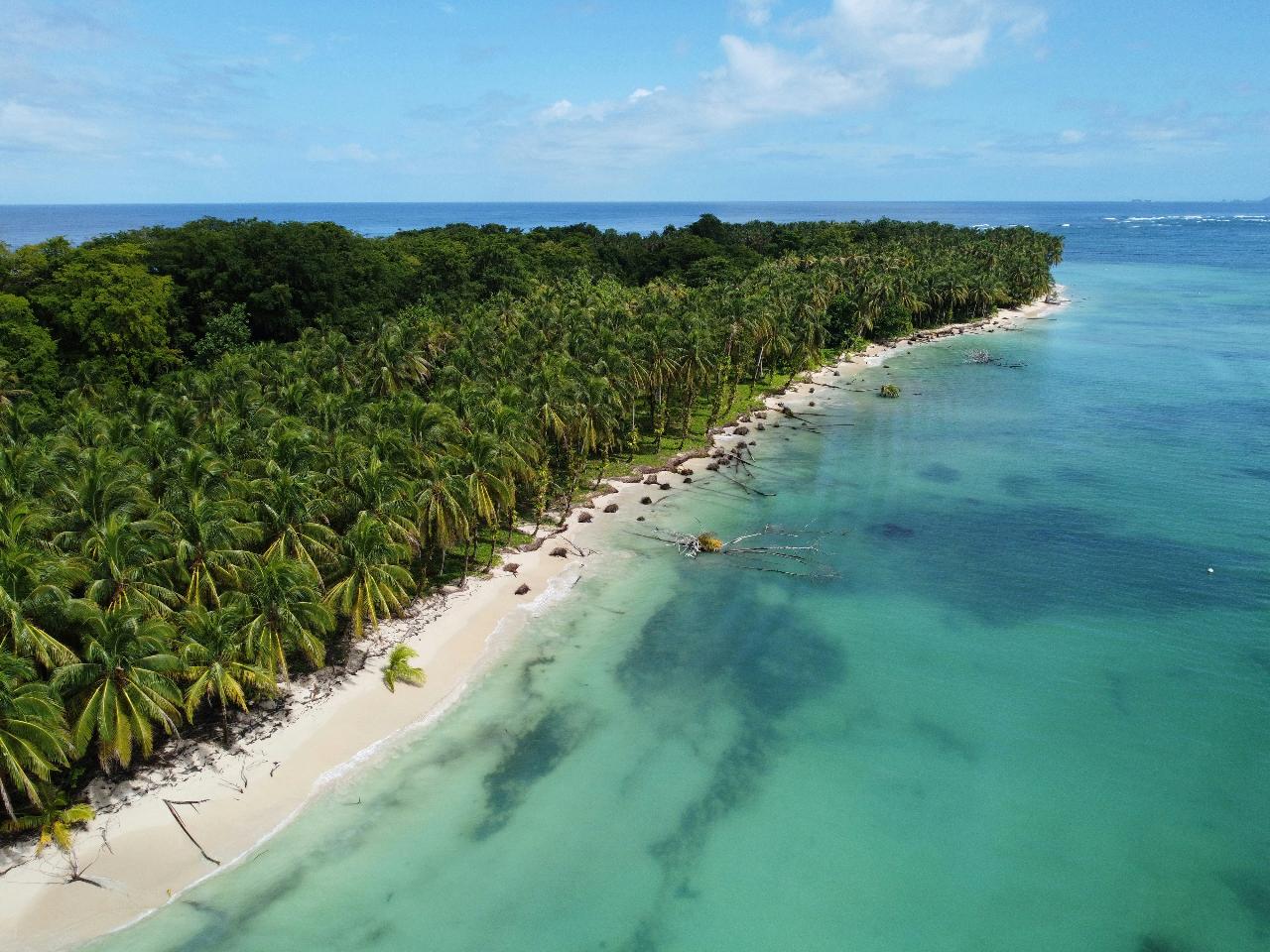 Half Day Tour - Starfish Beach + Bird Island