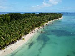 Half Day Tour - Starfish Beach + Bird Island