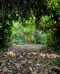 Bocas Trails Wonderland Tour - Half Day