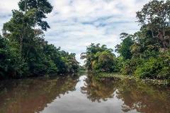 Bocas River Safari