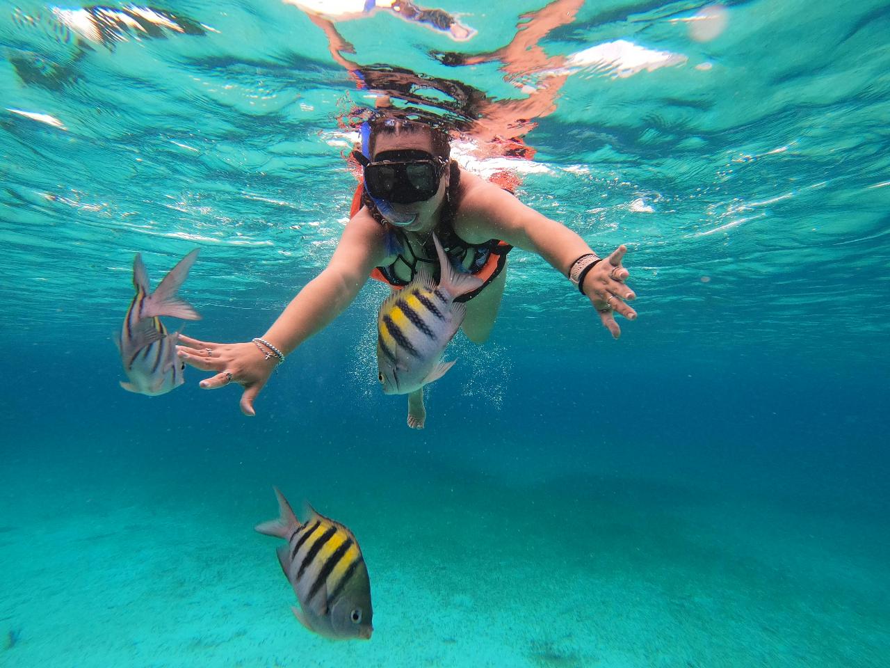 Private Bahía Delfines & Red Frog Island Adventure with an amazing snorkeling experience