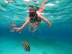 Private ​​Bahía Delfines & Red Frog Island Adventure with an amazing snorkeling experience