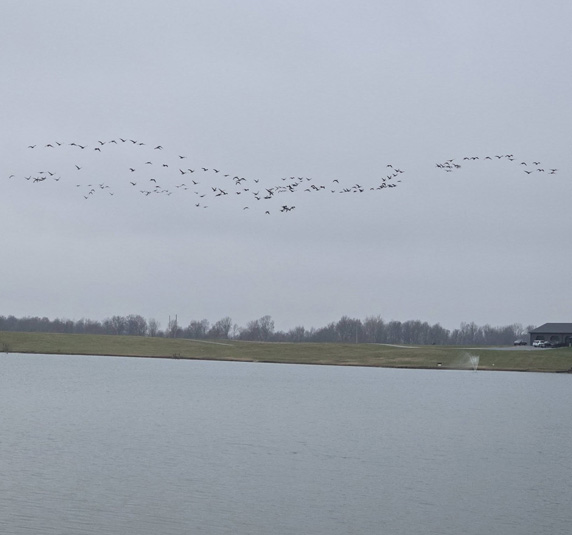 Kentucky Waterfowl Hunt - 2 Days, 2 Nights