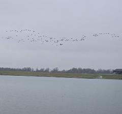 Kentucky Waterfowl Hunt - 2 Days, 2 Nights