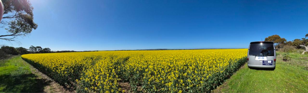 Port Lincoln and Coffin Bay Cruise Ship Tour