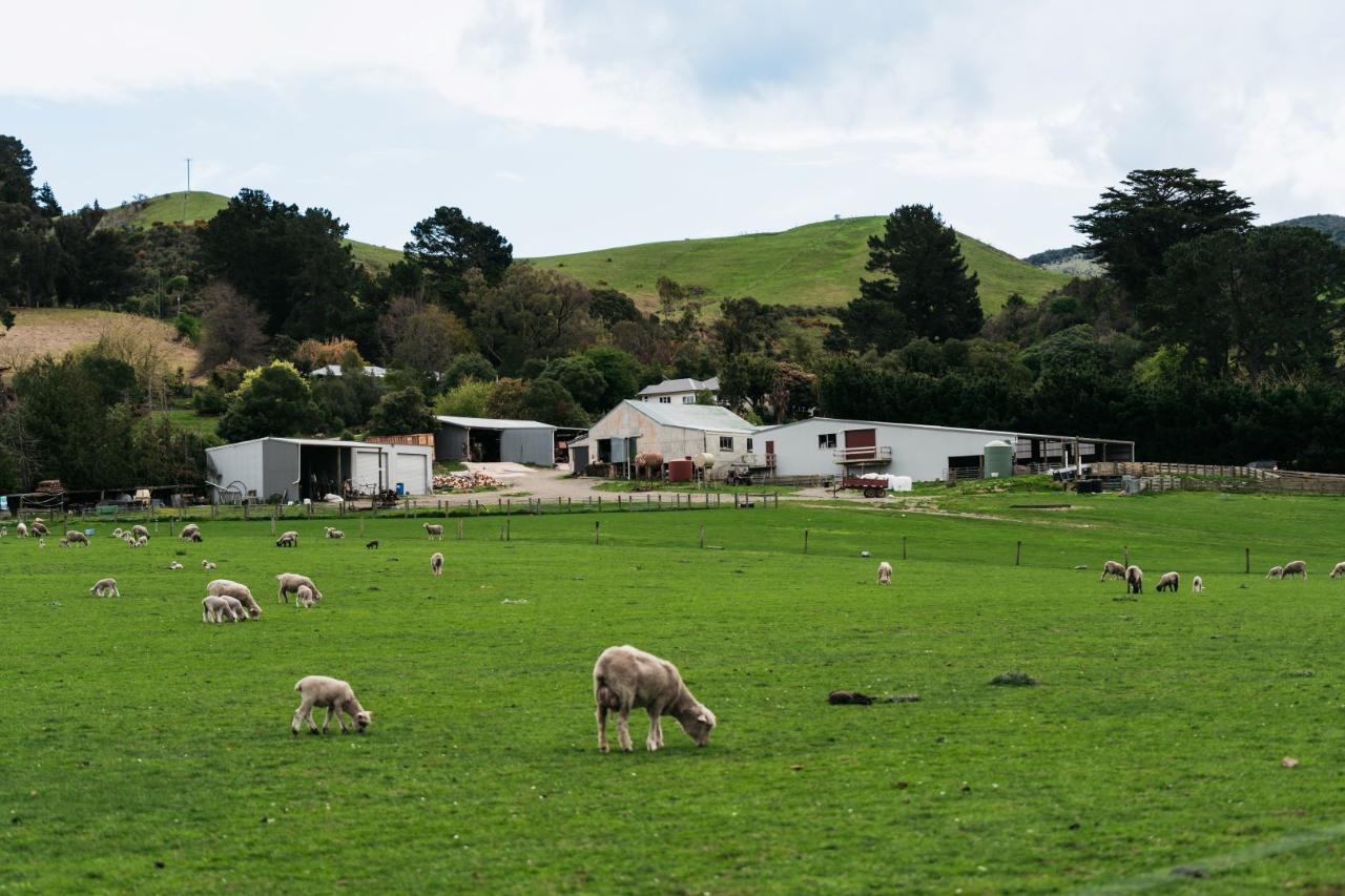 Real New Zealand Farm Tours Day Trip Christchurch Local Sheep Farm, Wine & Lunch — Waipara Valley - Photo 24