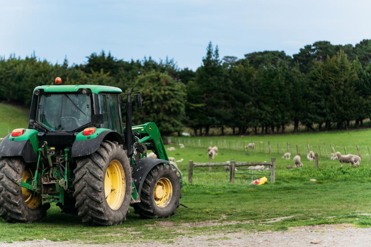 Real New Zealand Farm Tours Day Trip Christchurch Local Sheep Farm, Wine & Lunch — Waipara Valley - Photo 20