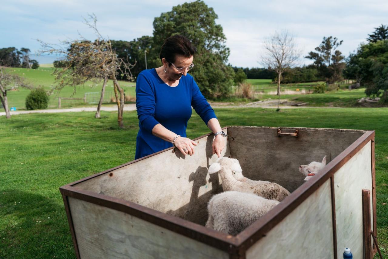 Real New Zealand Farm Tours Day Trip Christchurch Local Sheep Farm, Wine & Lunch — Waipara Valley - Photo 5