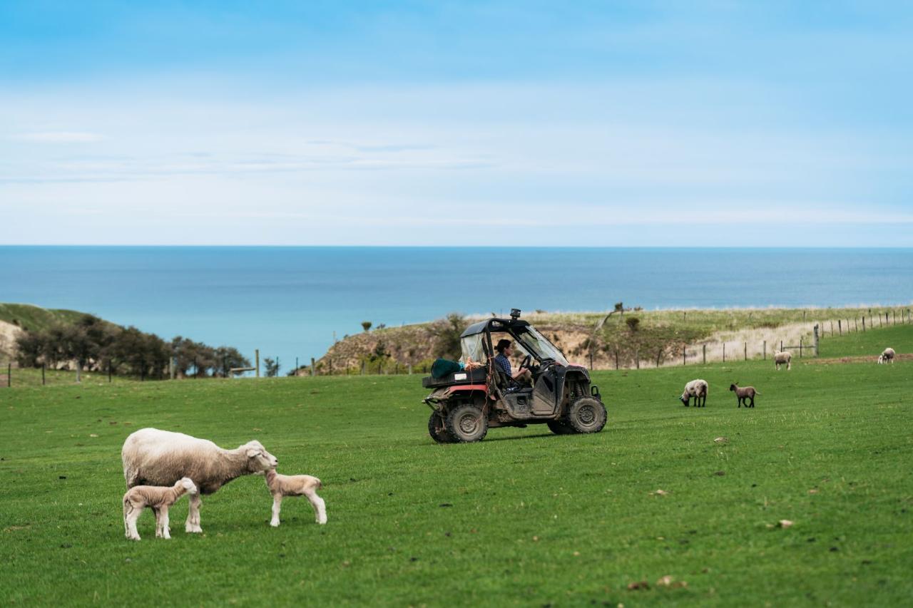 Real New Zealand Farm Tours Day Trip Christchurch Local Sheep Farm, Wine & Lunch — Waipara Valley - Photo 2