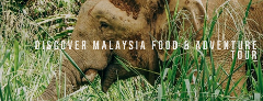 Discover Malaysia