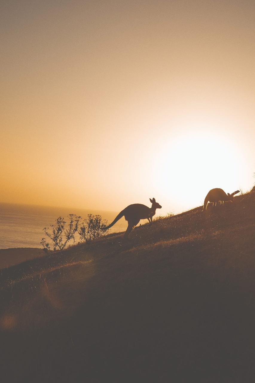 Deep Creek 4WD and Sunset Native Food Experience (Evening - Meet at Deep Creek)