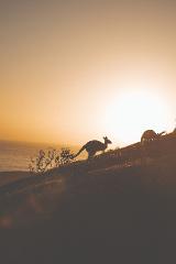 Deep Creek 4WD and Sunset Native Food Experience (Evening - Meet at Deep Creek)