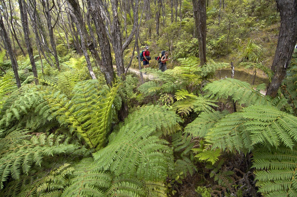 Remote Marine Reserve Overnighter