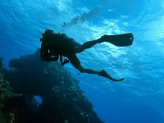 PADI Open Water Diver w/ E-Learning