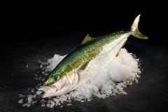 Deliciously Wild: Coast to Coals - Kingfish Showcase with Nicholas Finn (Hastwell & Lightfoot)