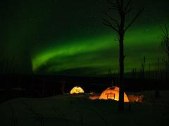Aurora Overnight