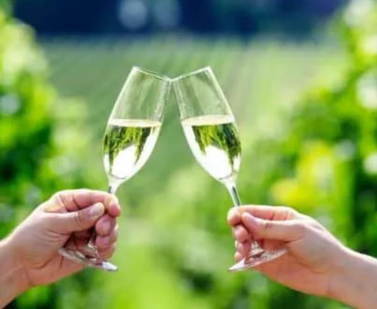 MLG WINE TOURS: Private Hunter Valley Half-Day Wine Tour - Photo 1
