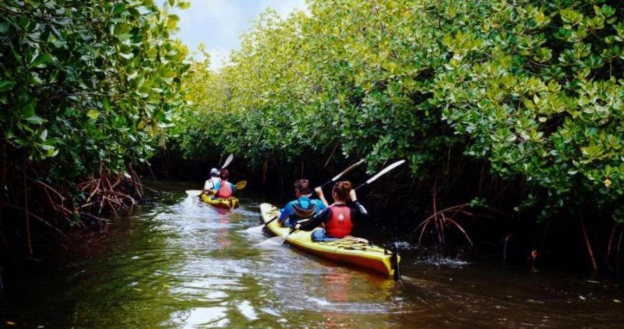 Day Kayaking in Havelock