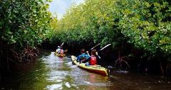 Day Kayaking in Havelock
