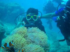 Scuba Diving Try Dive
