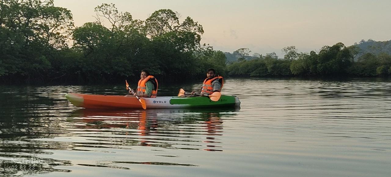 Mangrove Kayaking Havelock