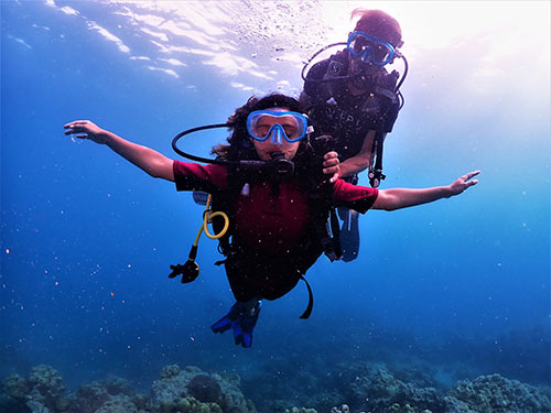 Scuba Boat Dive in Havelock