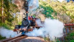 Puffing Billy & Dandenong Mountains Tour 