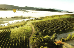 Yarra Valley